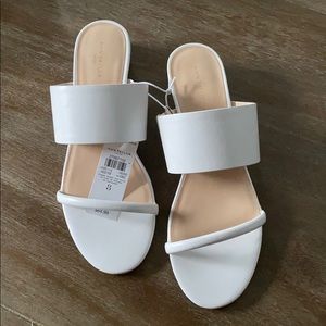 Ann Taylor Factory Double strap Mules